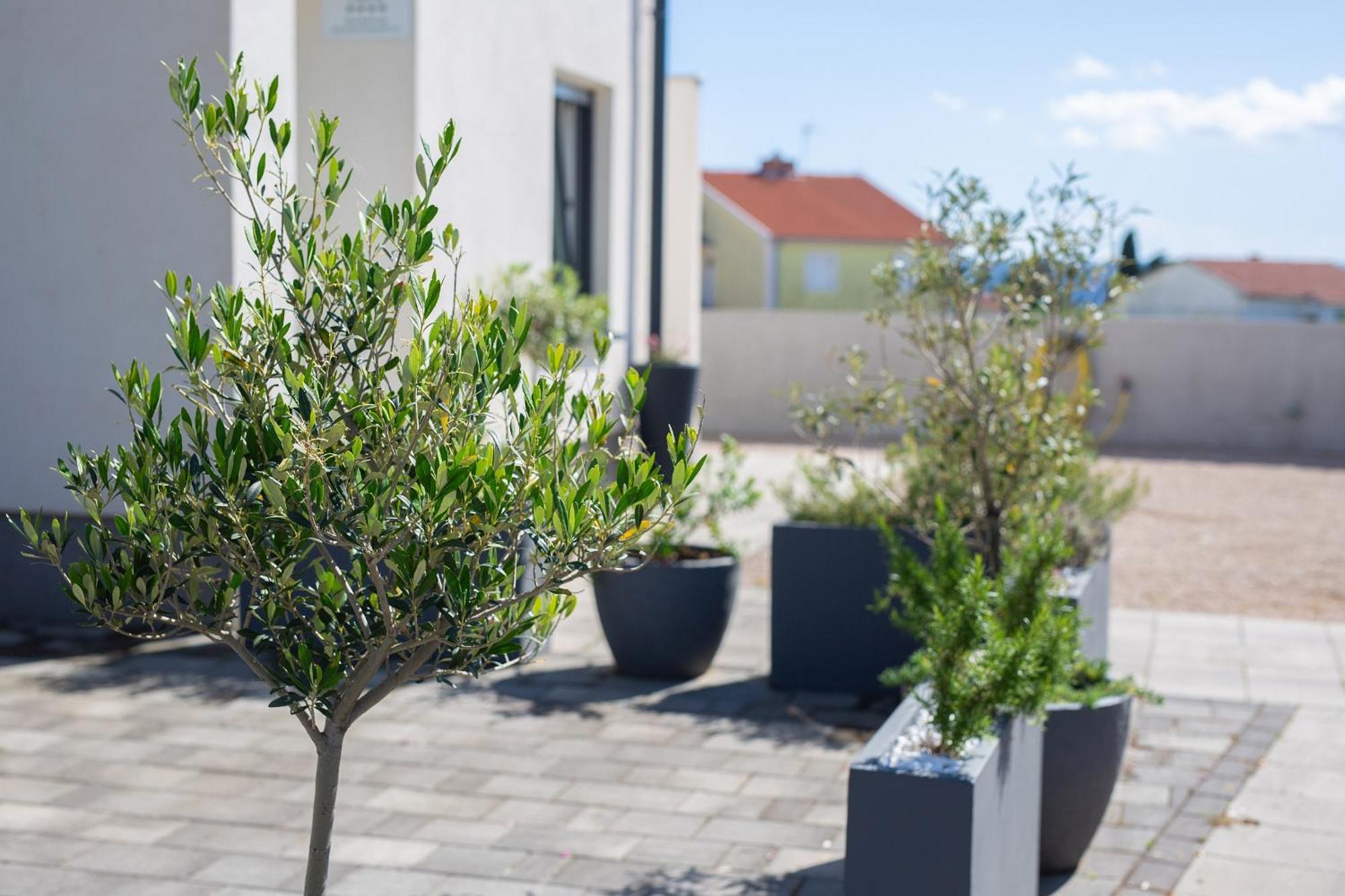קרק Apartment Sara מראה חיצוני תמונה